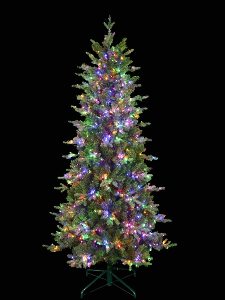 Alberta Slim Spruce 6.5'